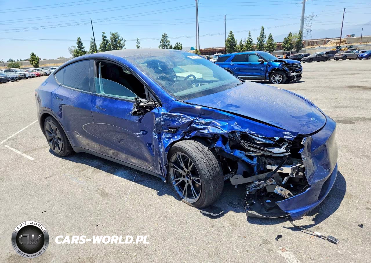 2024 Tesla Model Y VIN:7SAYGDEE1RF131241 - 4