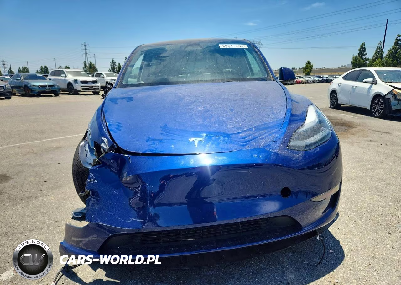 2024 Tesla Model Y VIN:7SAYGDEE1RF131241 - 5
