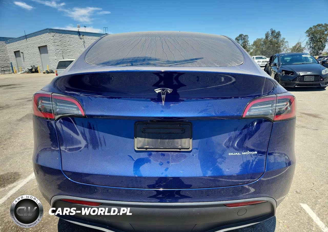 2024 Tesla Model Y VIN:7SAYGDEE1RF131241 - 6