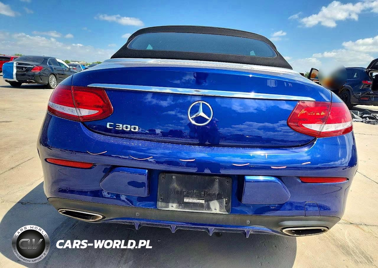 2018 Mercedes-Benz C 300 VIN:WDDWK4JB8JF598340 - 6