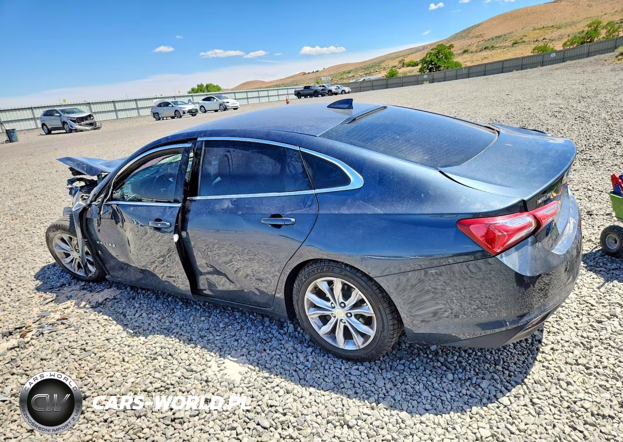 2019 Chevrolet Malibu Lt VIN:1G1ZD5ST8KF146851 - 2
