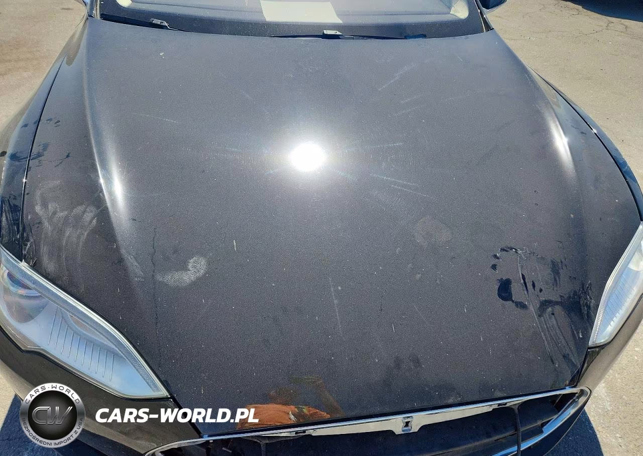 2016 Tesla Model S VIN:5YJSA1E13GF132985 - 11
