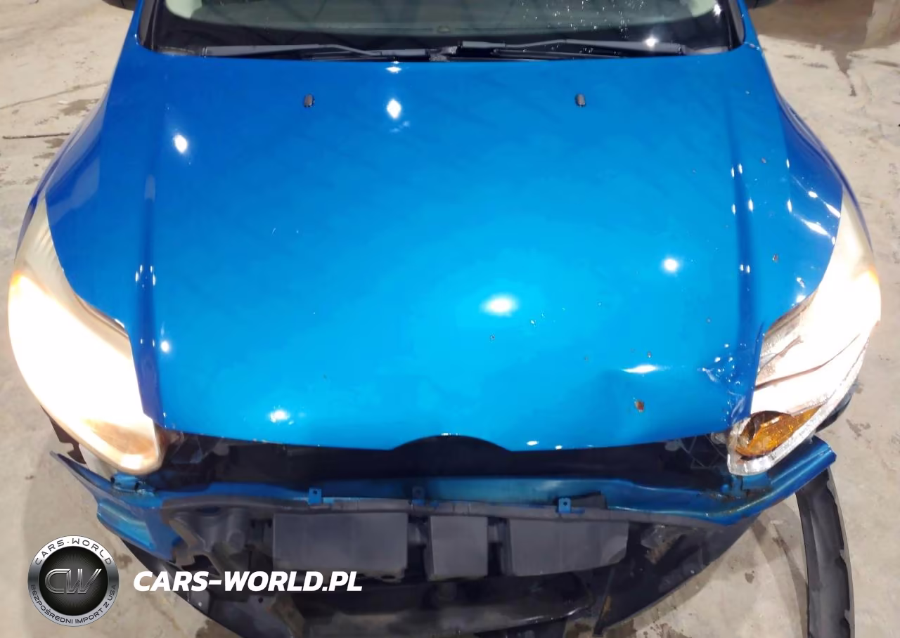 2014 Ford Focus Se VIN:1FADP3K27EL116434 - 11