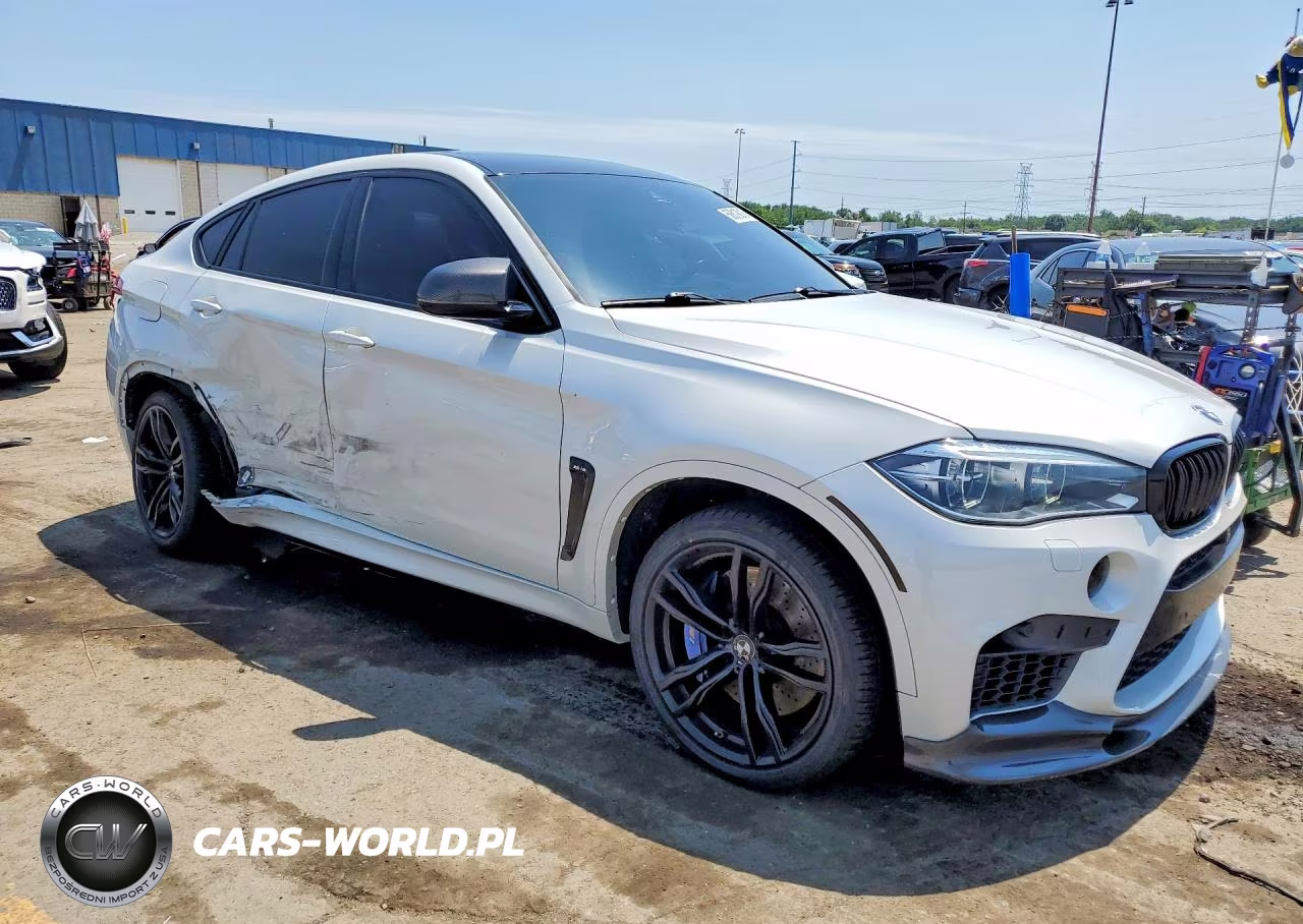 2017 BMW X6 M VIN:5YMKW8C5XH0R43934 - 4