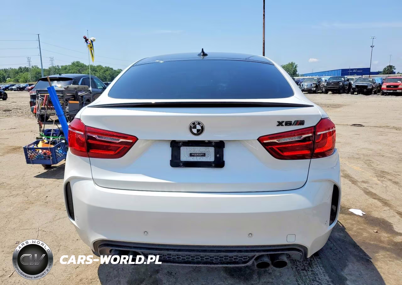 2017 BMW X6 M VIN:5YMKW8C5XH0R43934 - 6