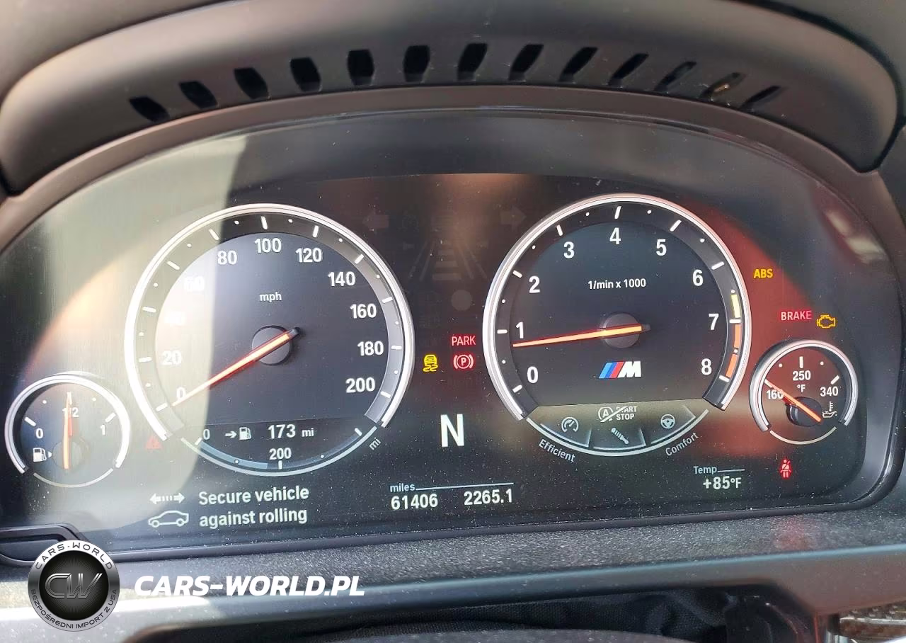 2017 BMW X6 M VIN:5YMKW8C5XH0R43934 - 9