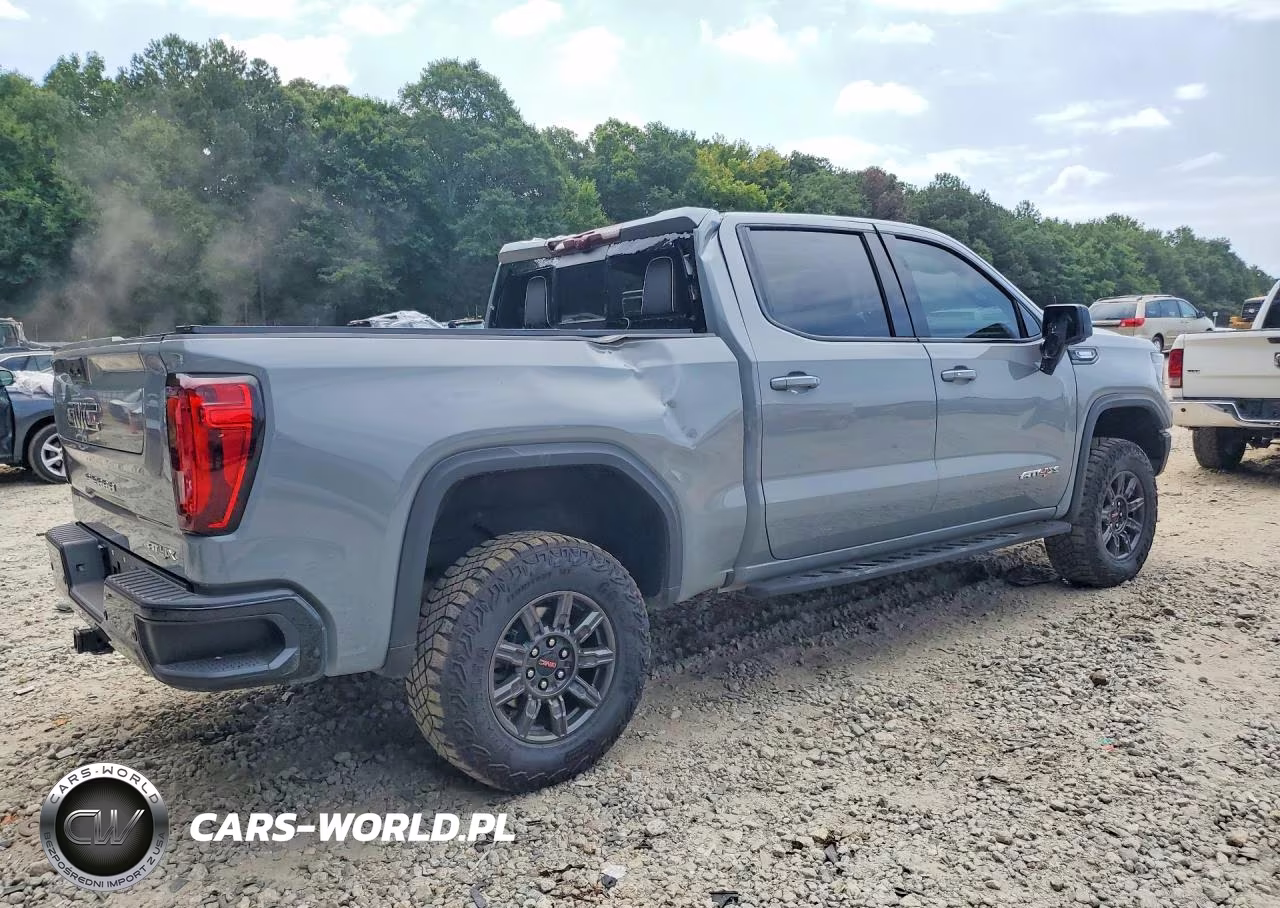 2024 GMC Sierra K1500 At4X VIN:3GTUUFE84RG419792 - 3