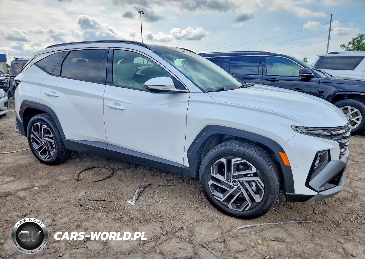 2025 Hyundai Tucson Limited VIN:KM8JEDD18SU280242 - 4