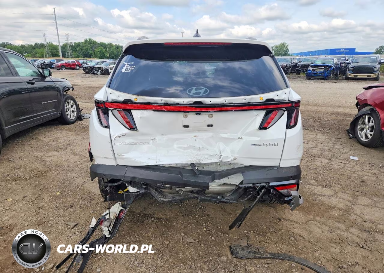 2025 Hyundai Tucson Limited VIN:KM8JEDD18SU280242 - 6