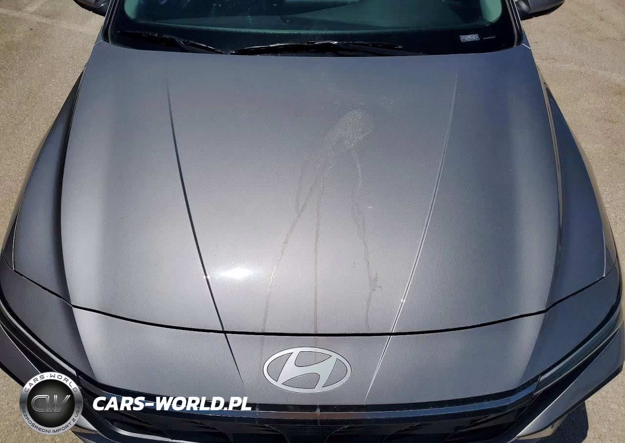 2025 Hyundai Elantra Limited VIN:KMHLN4DJ4SU134171 - 11