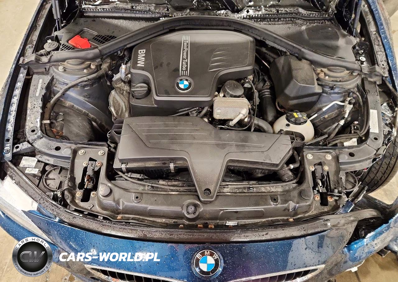 2015 BMW 428 Xi VIN:WBA3N9C57FK247066 - 11