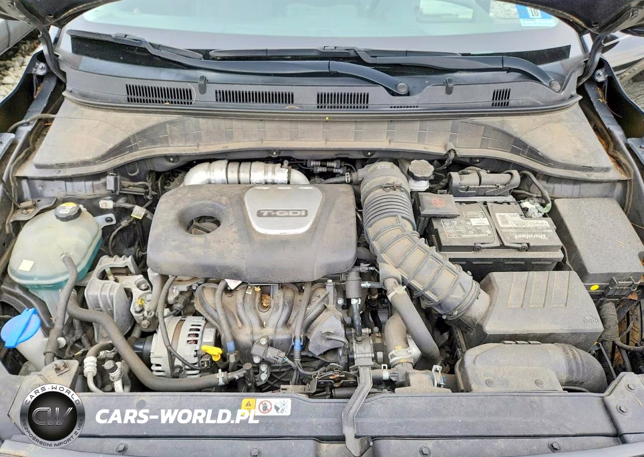 2020 Hyundai Kona Ultimate VIN:KM8K5CA54LU497844 - 12