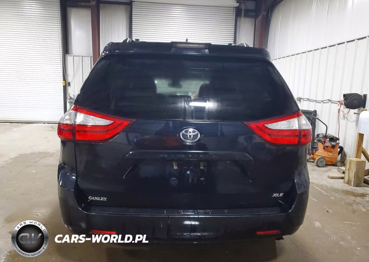2018 Toyota Sienna Xle 8-Passenger VIN:5TDYZ3DCXJS939590 - 6