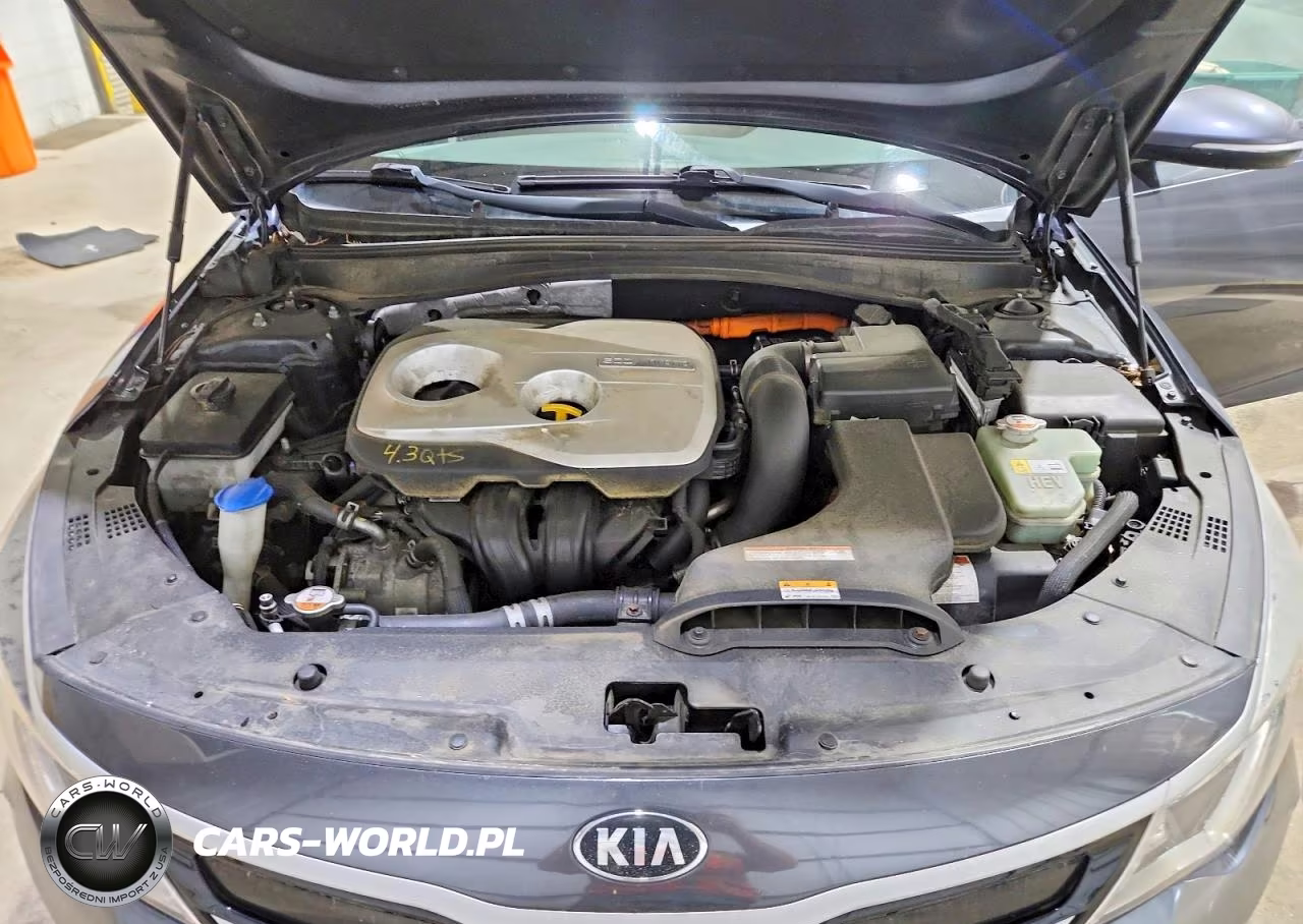 2017 Kia Optima Hybrid VIN:KNAGT4LC8H5008426 - 11