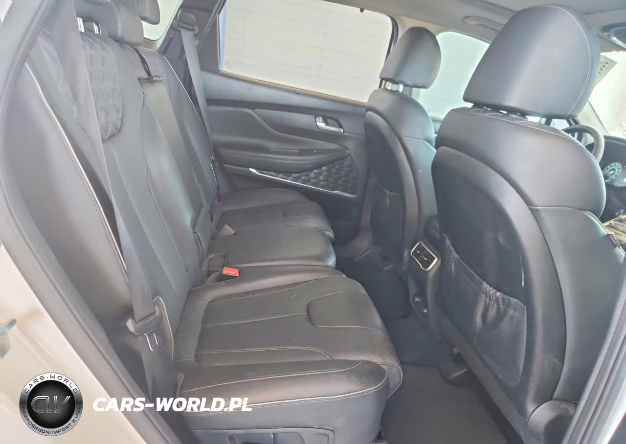 2022 Hyundai Santa Fe Sel Premium VIN:KM8S3DA10NU033557 - 11