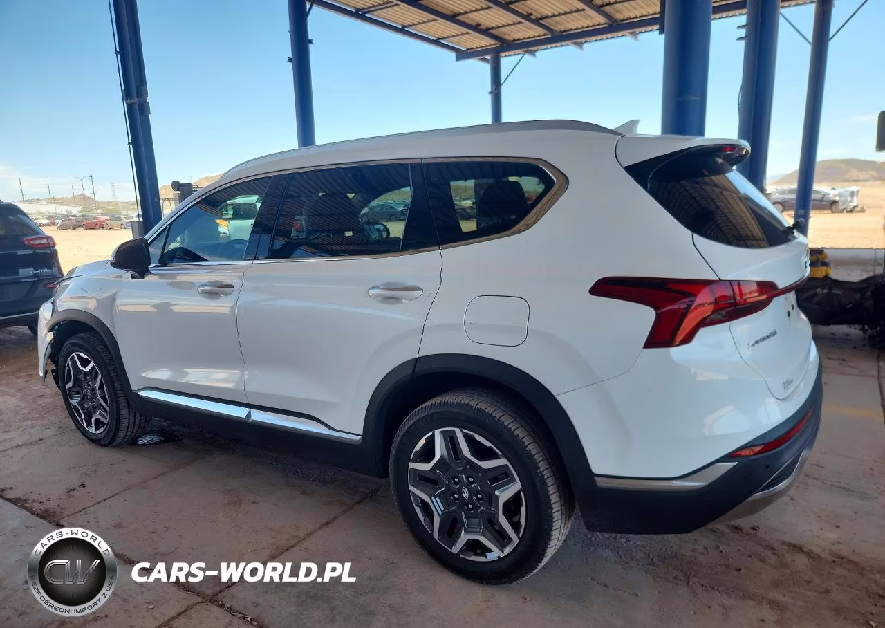 2022 Hyundai Santa Fe Sel Premium VIN:KM8S3DA10NU033557 - 2