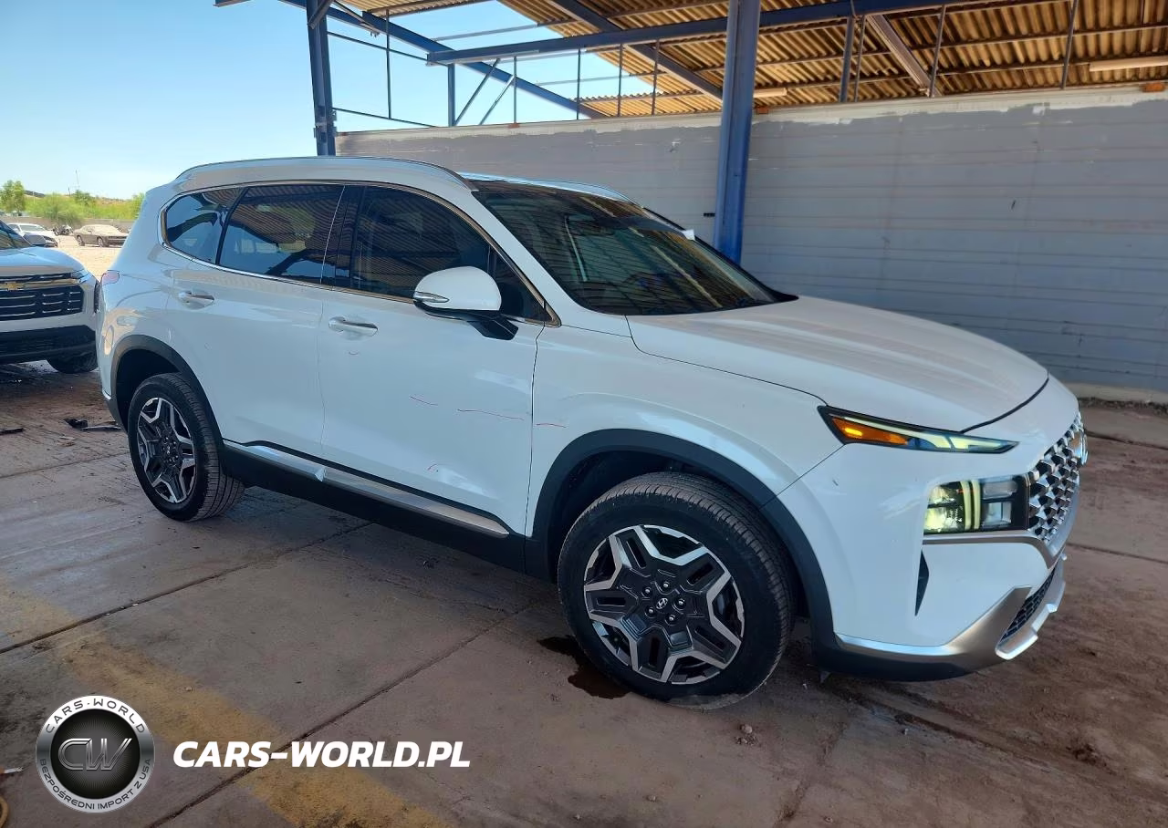 2022 Hyundai Santa Fe Sel Premium VIN:KM8S3DA10NU033557 - 4
