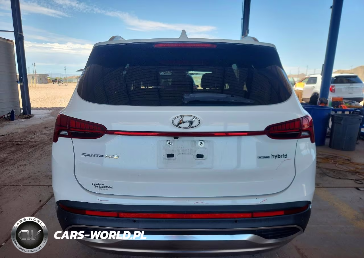 2022 Hyundai Santa Fe Sel Premium VIN:KM8S3DA10NU033557 - 6