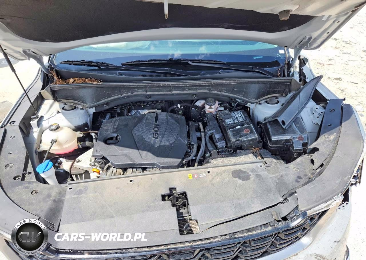 2024 Kia Sorento S VIN:5XYRL4JCXRG278376 - 11