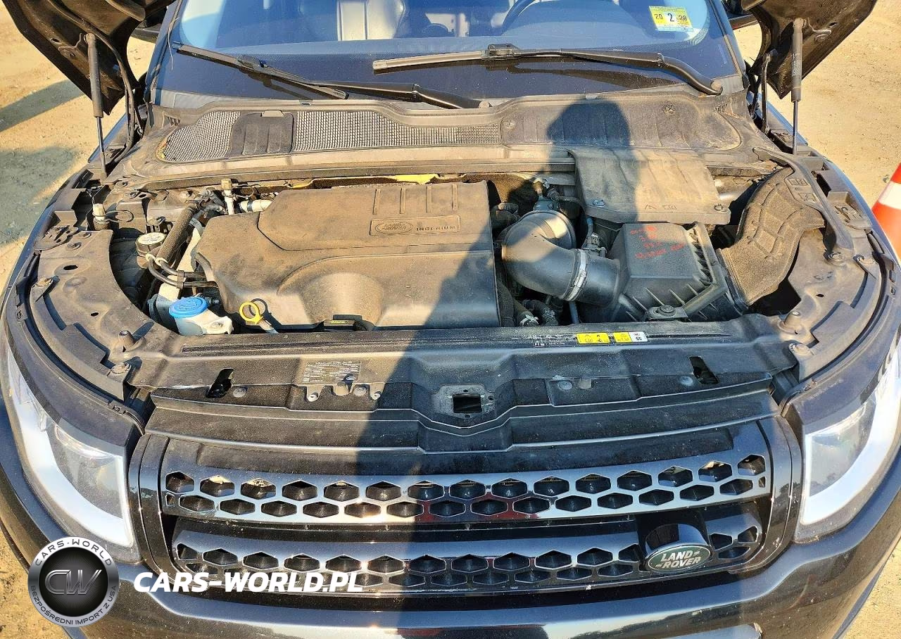 2019 Land Rover Range Rover Evoque Se VIN:SALVP2RX2KH346464 - 12