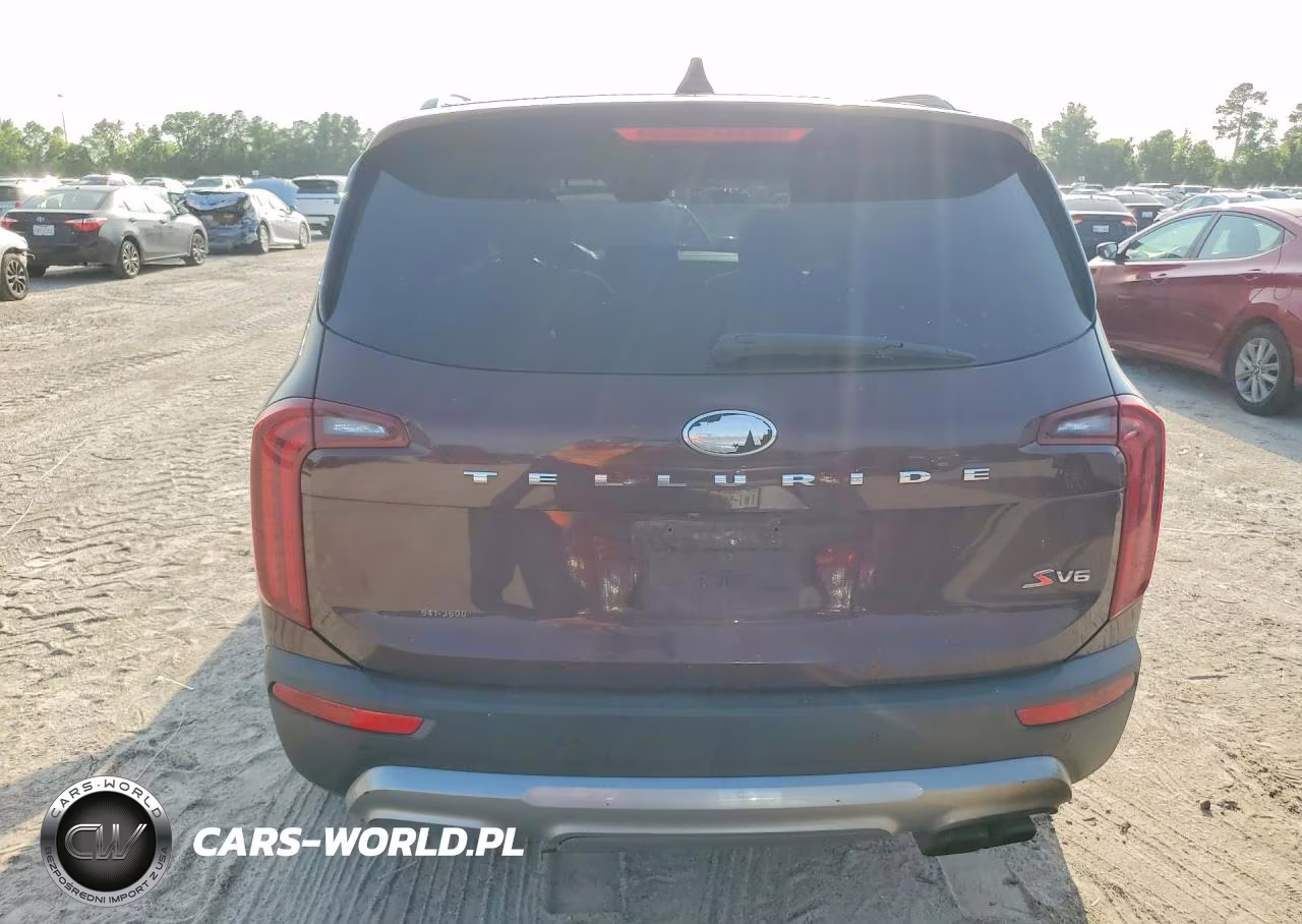2020 Kia Telluride S VIN:5XYP64HC3LG026092 - 6