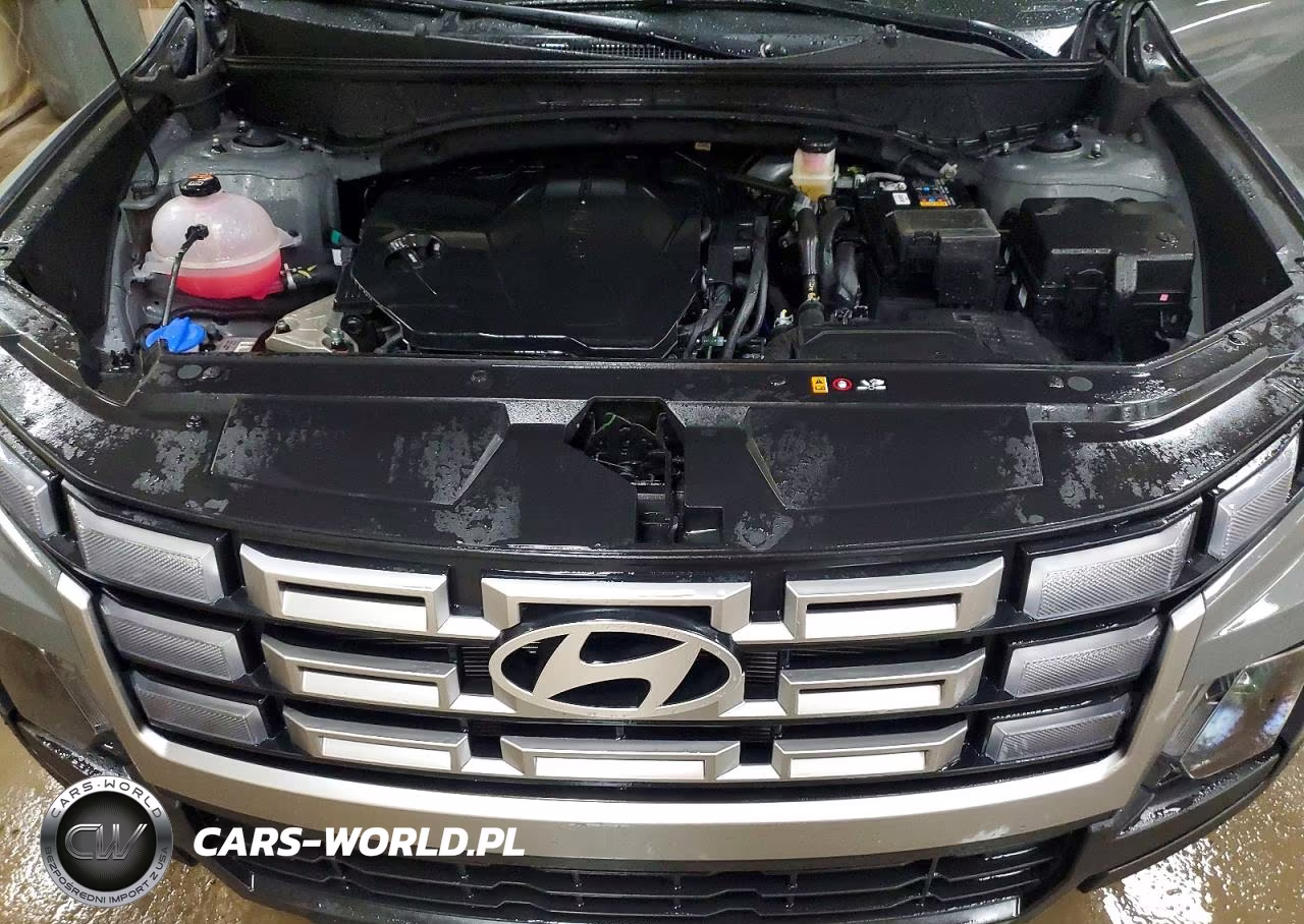 2025 Hyundai Santa Cruz Sel Activity VIN:5NTJCDDE7SH129126 - 11