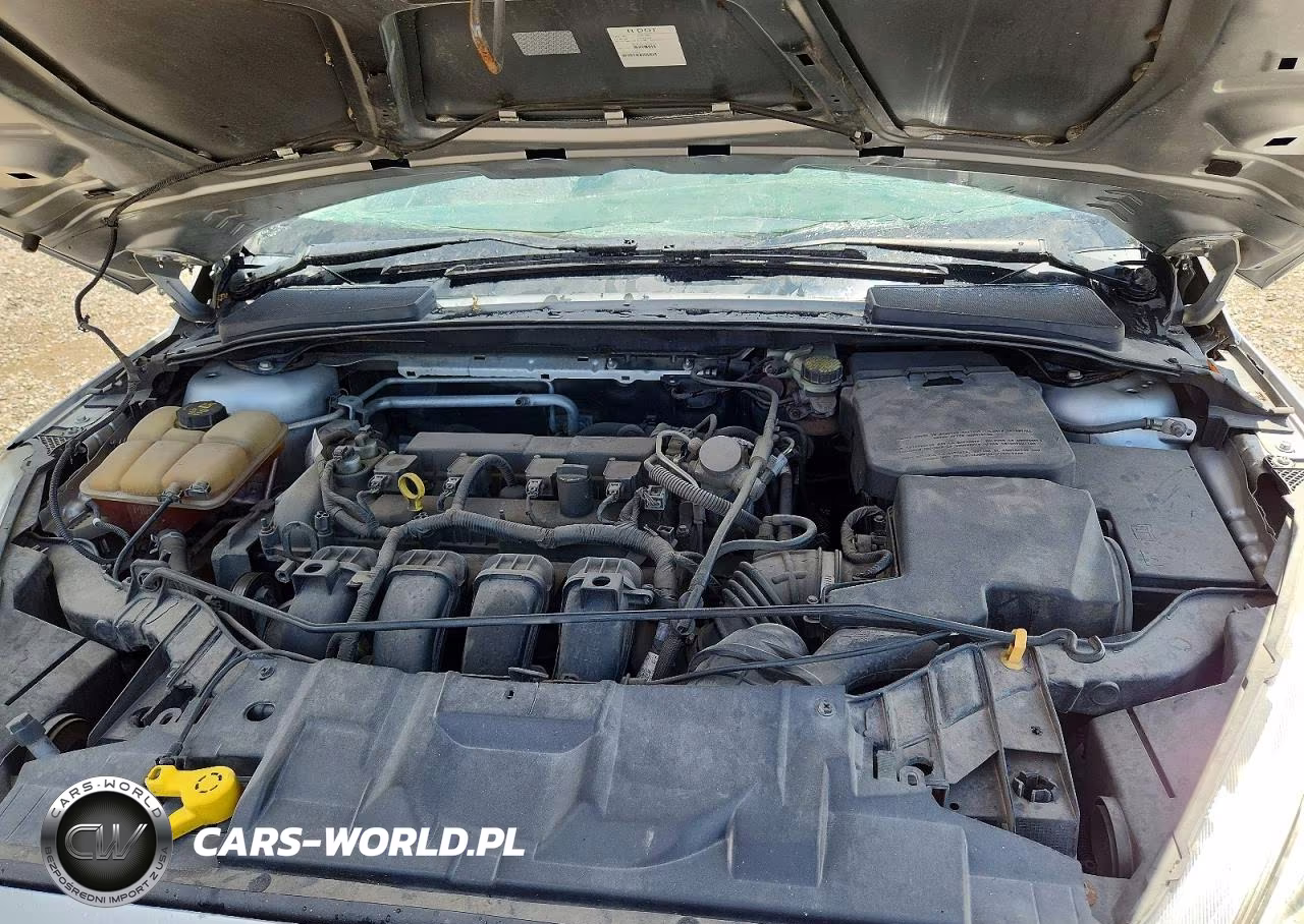 2016 Ford Focus Se VIN:1FADP3K27GL325191 - 11