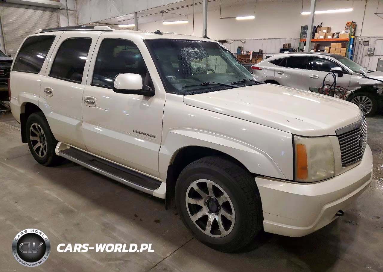 2003 Cadillac Escalade Luxury VIN:1GYEK63NX3R169057 - 4
