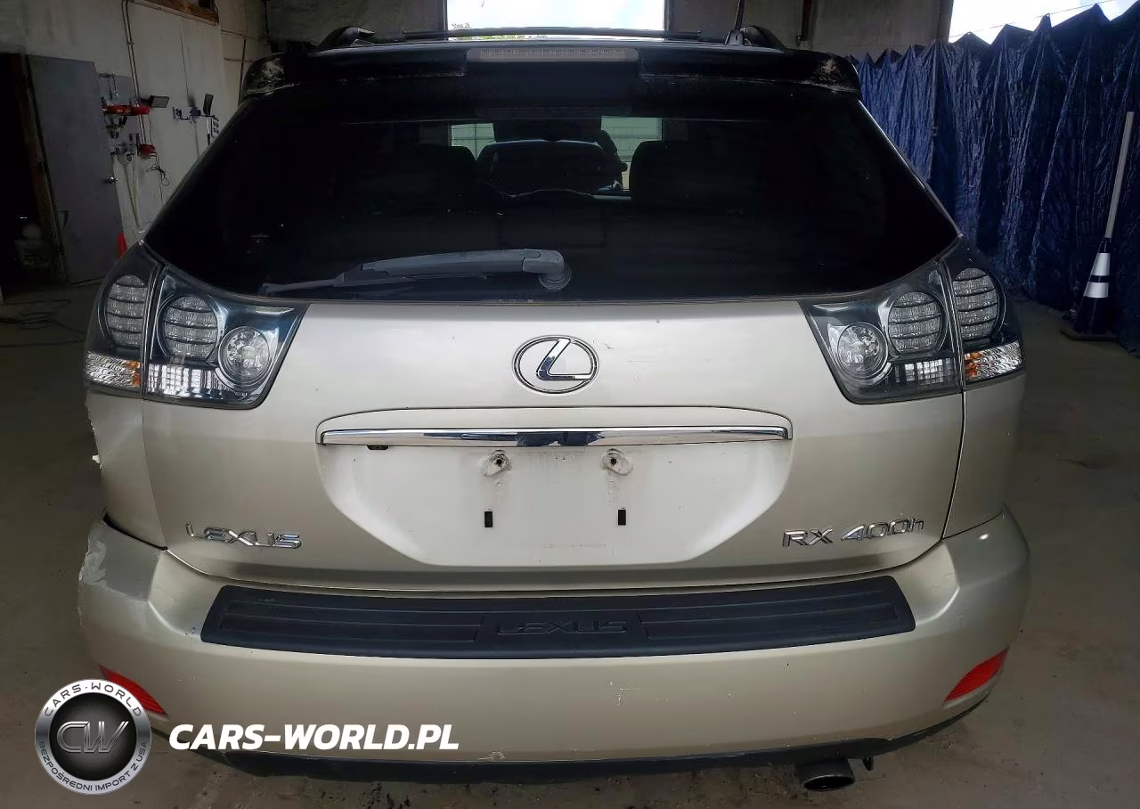 2006 Lexus Rx 400 VIN:JTJHW31U060007184 - 6