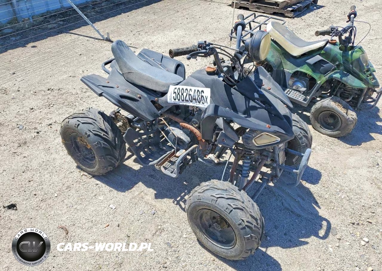 2011 Honda 4W – zdjęcie 1 z 10