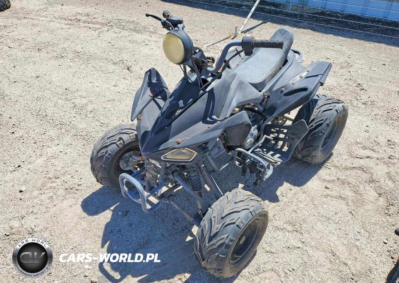 2011 Honda 4W VIN:L5NATMCT2BT283081 - 2