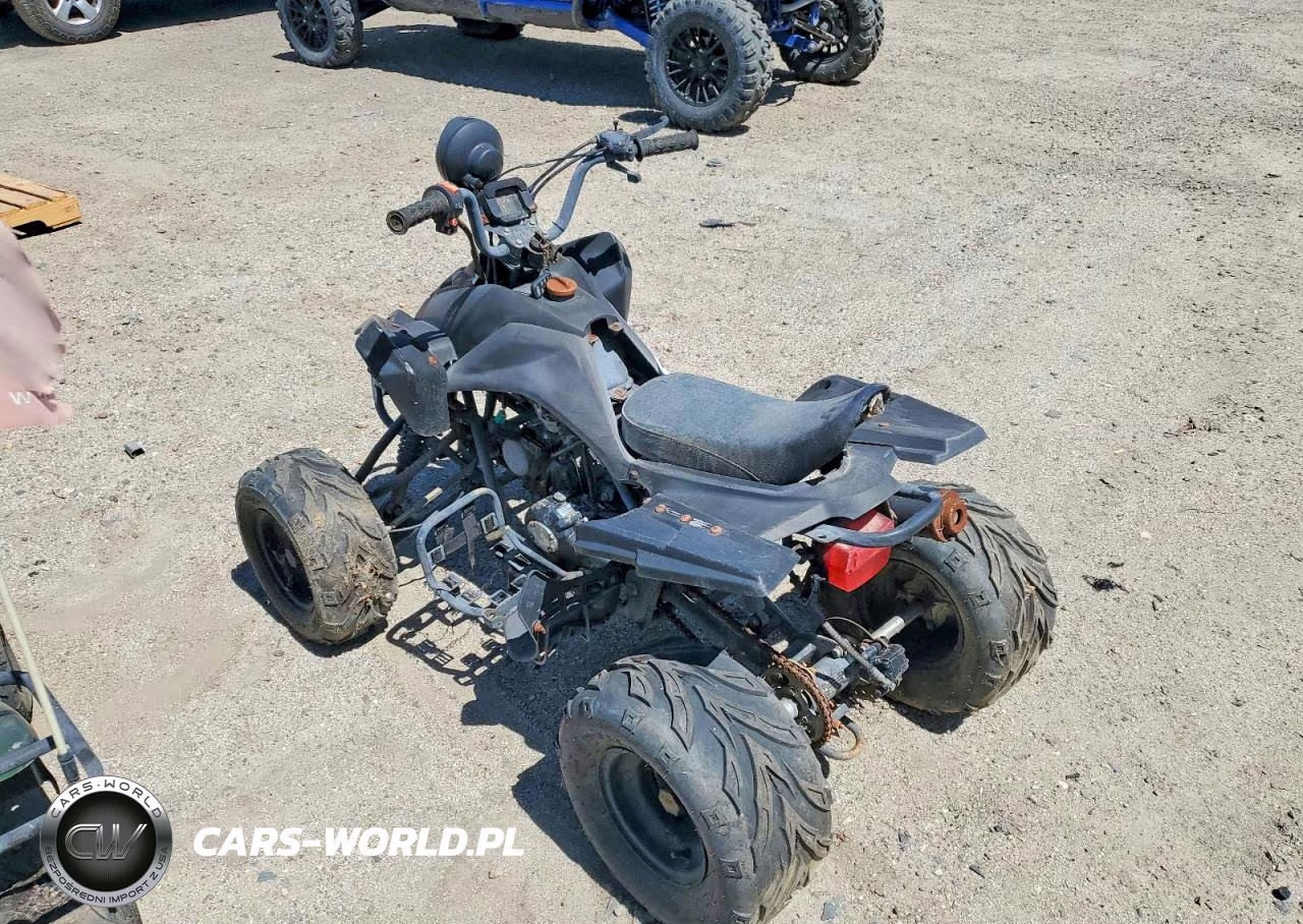2011 Honda 4W VIN:L5NATMCT2BT283081 - 3