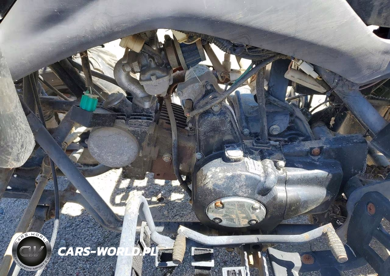 2011 Honda 4W VIN:L5NATMCT2BT283081 - 9
