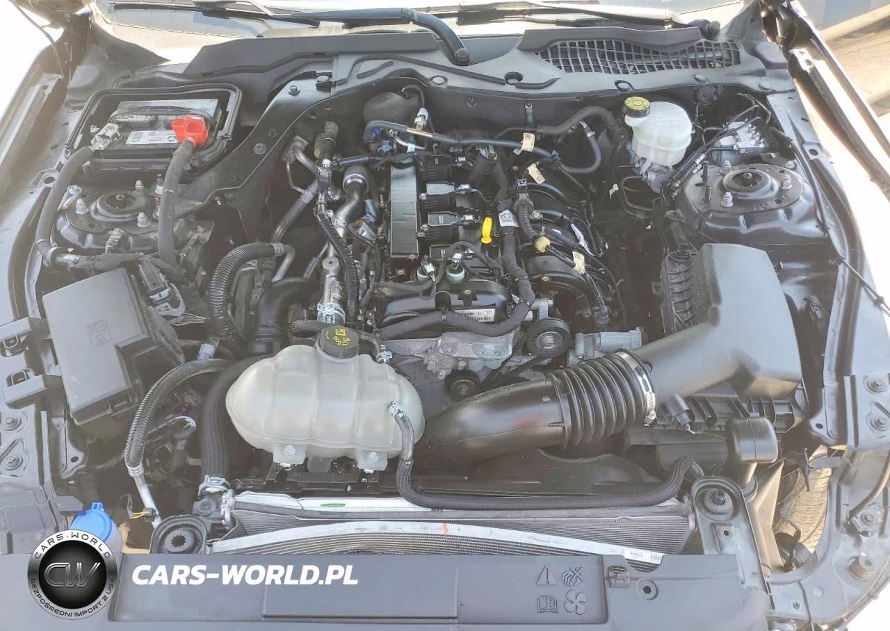 2022 Ford Mustang VIN:1FA6P8TH6N5144061 - 11