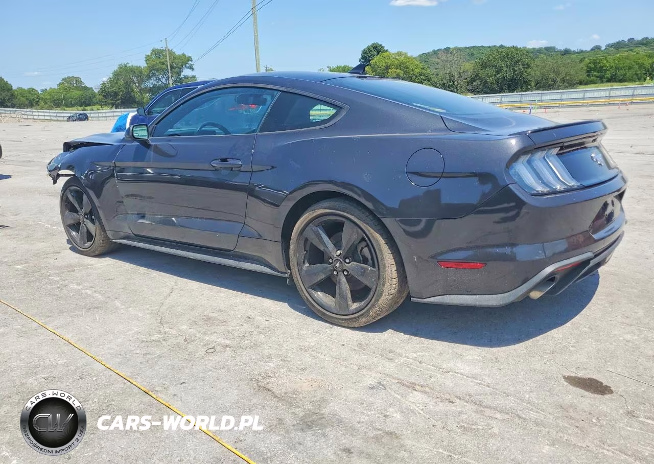 2022 Ford Mustang VIN:1FA6P8TH6N5144061 - 2