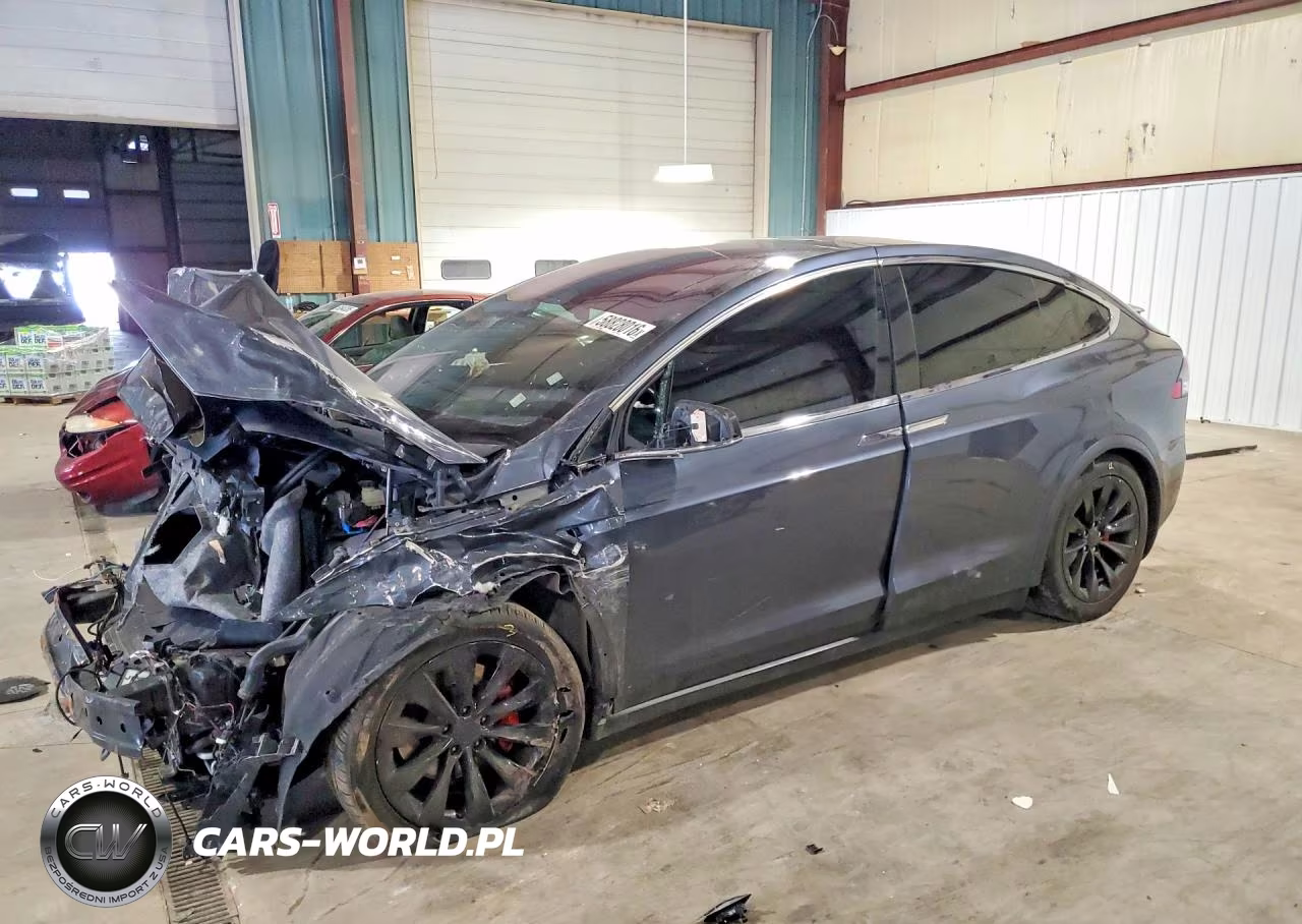 2019 Tesla Model X