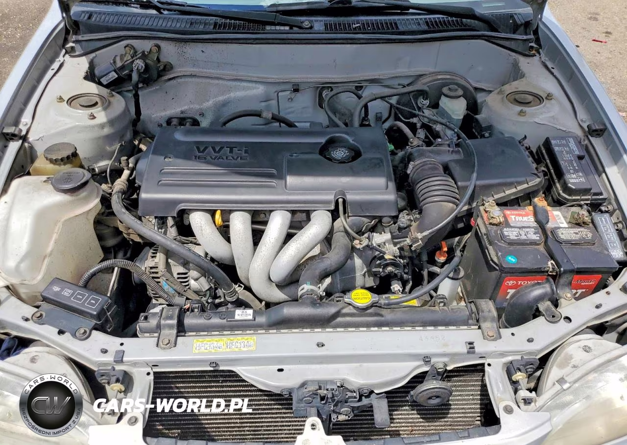 2000 Toyota Corolla Ve VIN:1NXBR12E4YZ395085 - 11