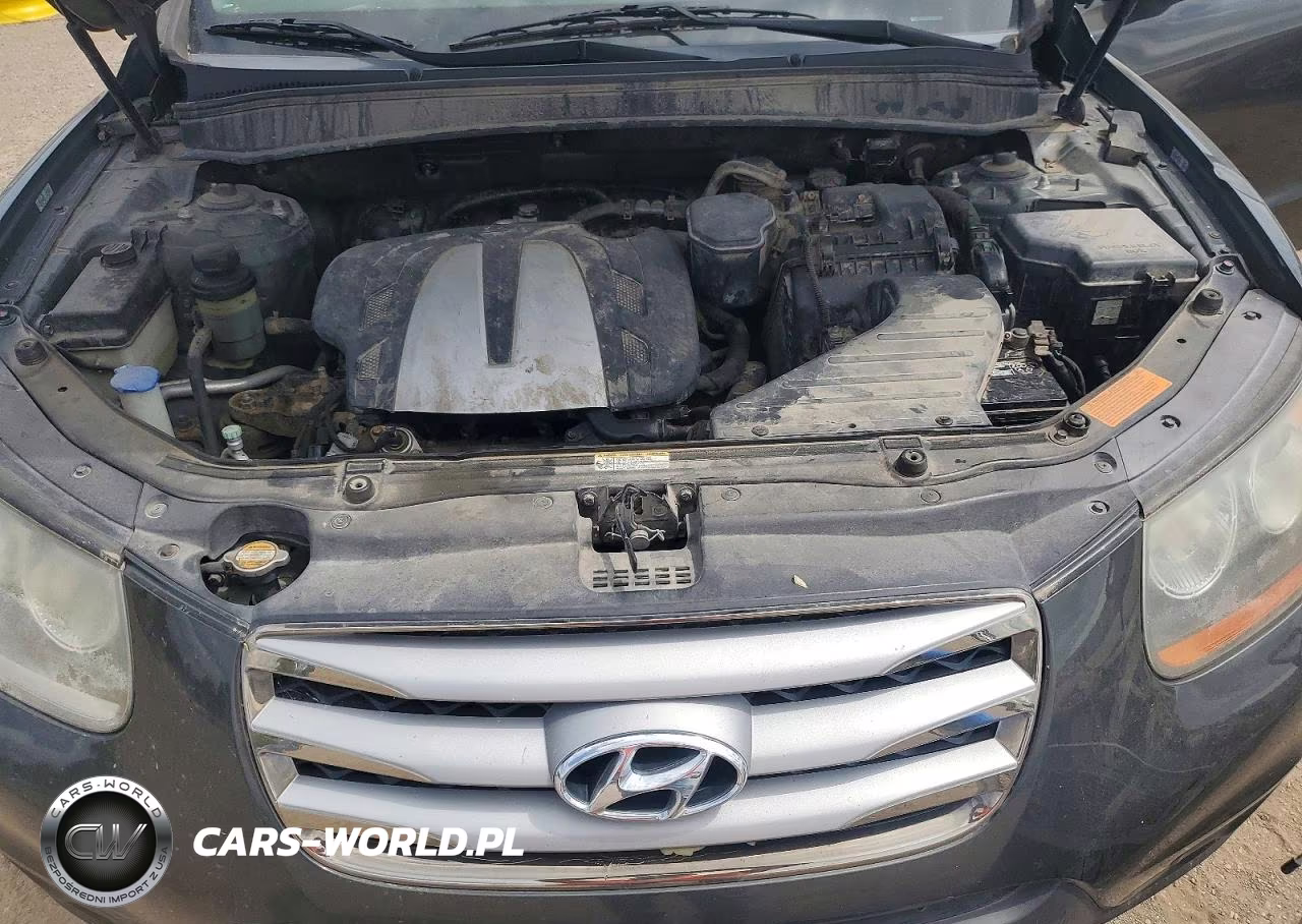 2012 Hyundai Santa Fe Se VIN:5XYZHDAG7CG107094 - 12