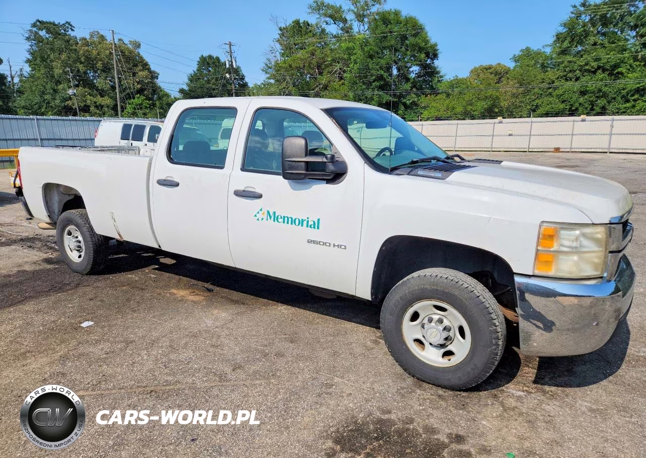2010 Chevrolet Silverado C2500 Heavy Duty VIN:1GC4CVBG4AF104036 - 4