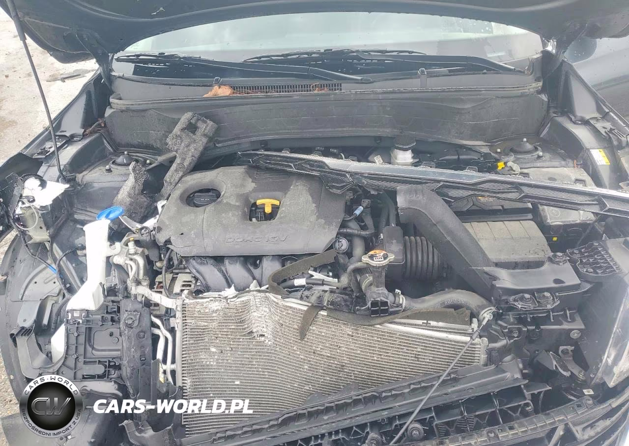 2025 Kia Seltos Ex VIN:KNDERCAA2S7679784 - 12