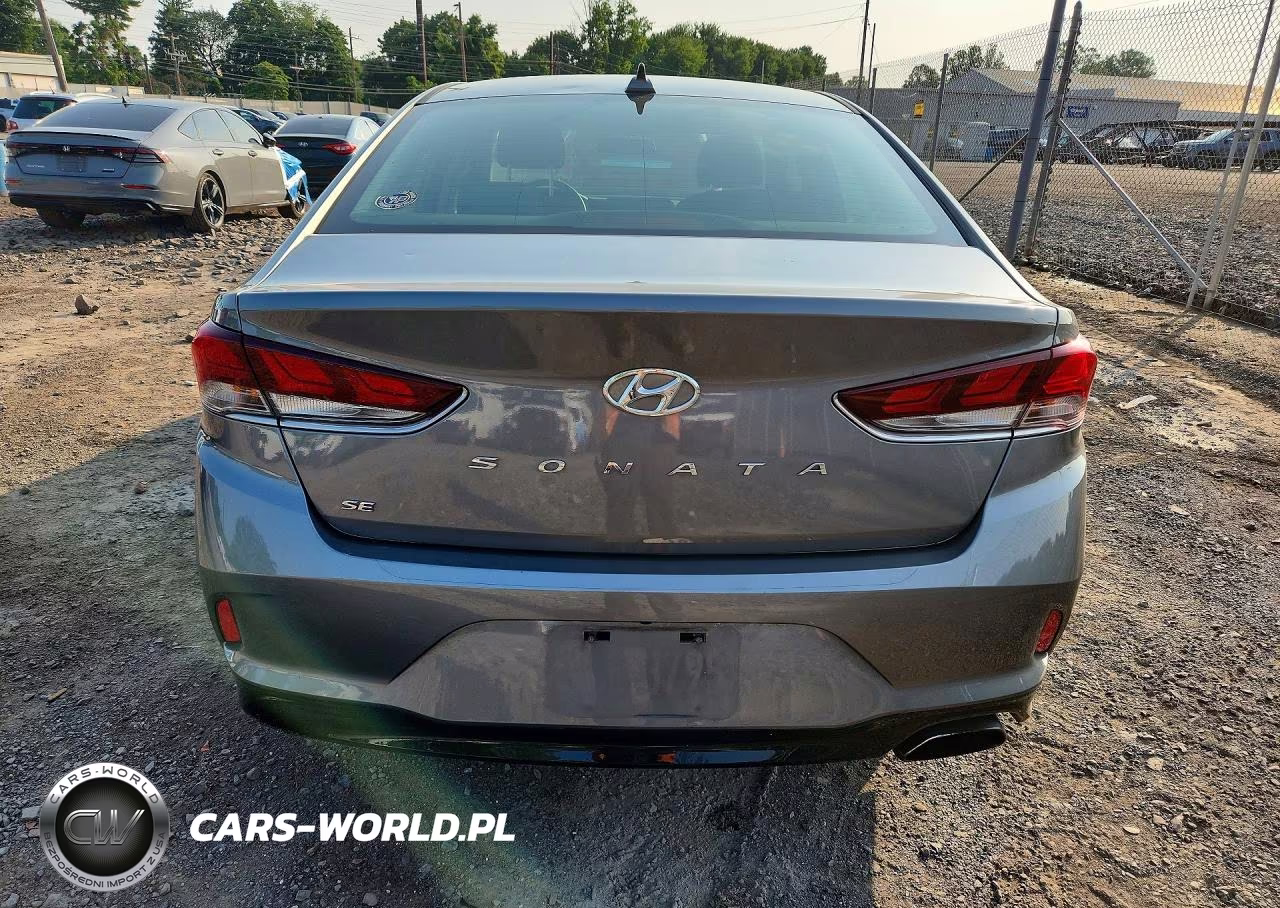 2019 Hyundai Sonata Se VIN:5NPE24AF2KH782253 - 6