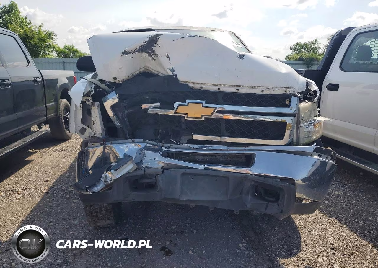 2013 Chevrolet Silverado C2500 Heavy Duty VIN:1GC1CVCG9DF162486 - 9