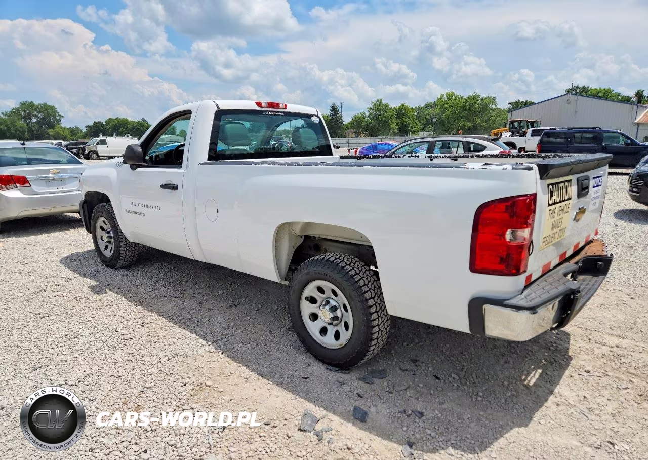 2013 Chevrolet Silverado C1500 VIN:1GCNCPEX5DZ171954 - 2