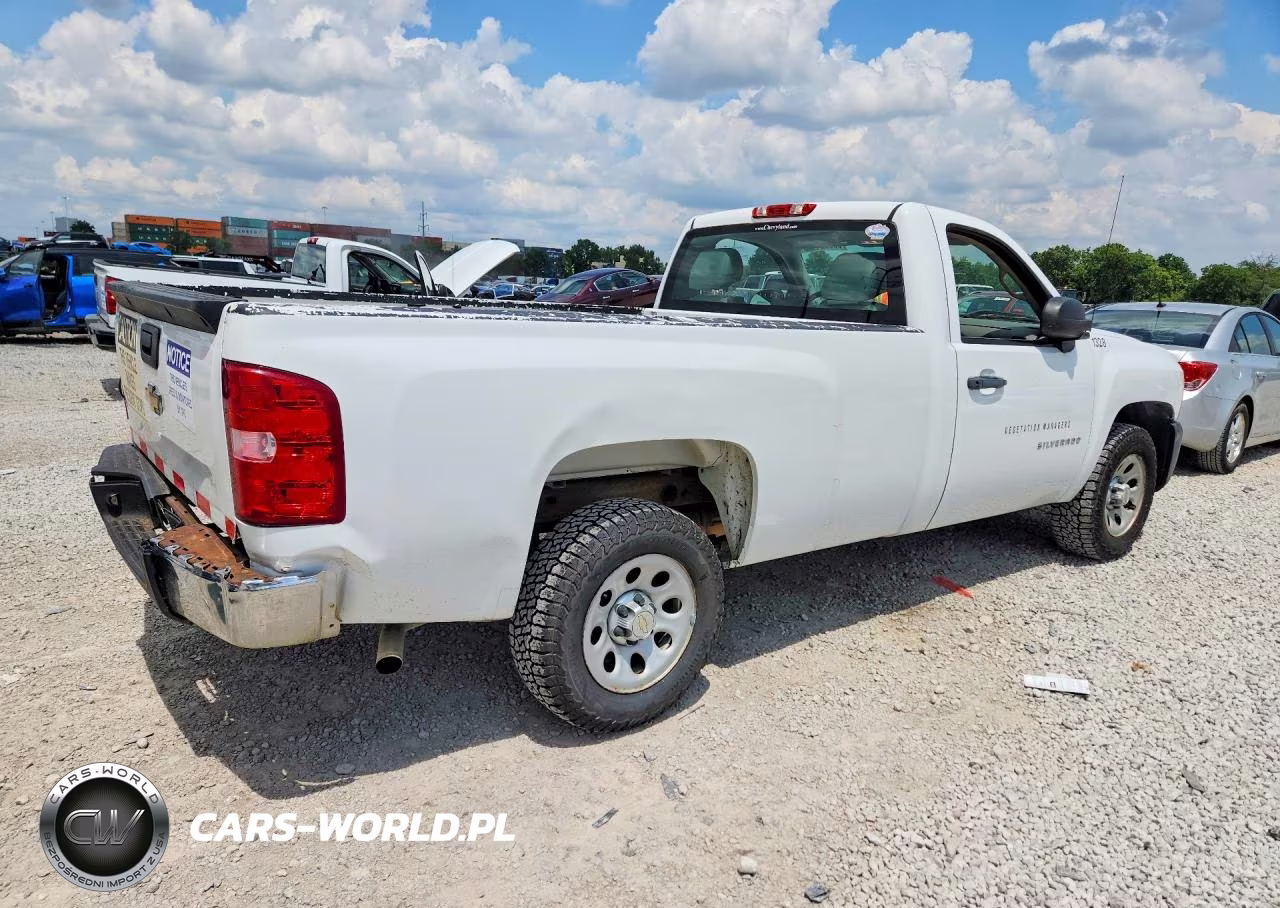 2013 Chevrolet Silverado C1500 VIN:1GCNCPEX5DZ171954 - 3