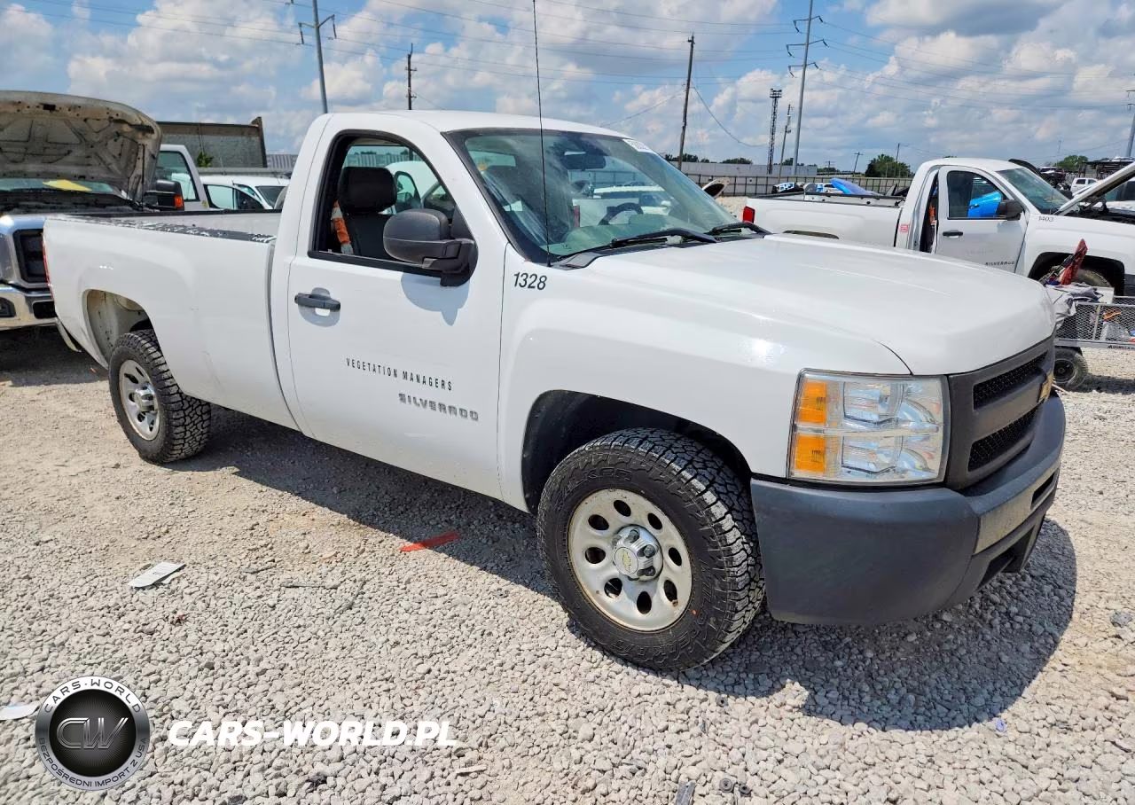2013 Chevrolet Silverado C1500 VIN:1GCNCPEX5DZ171954 - 4