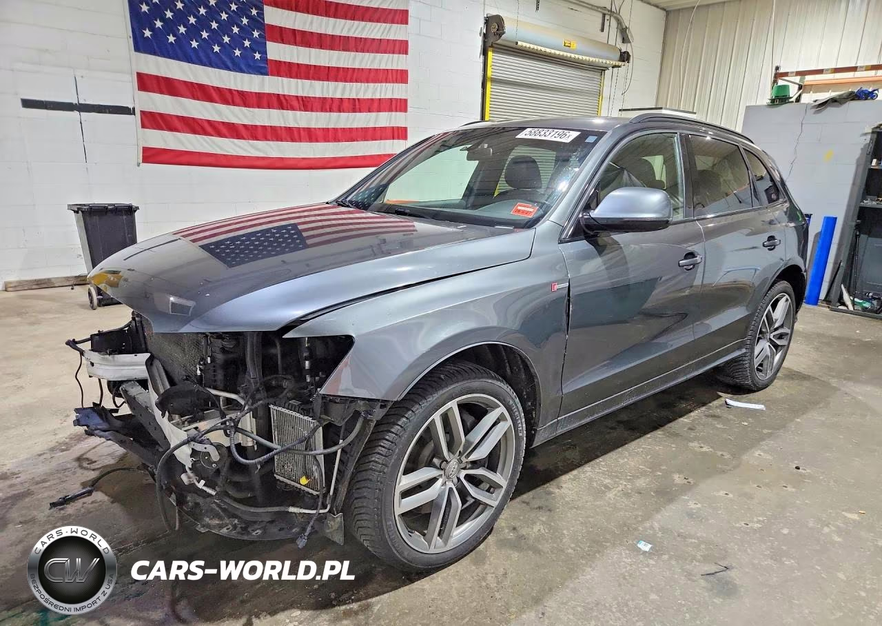 2015 Audi Sq5 Premium Plus VIN:WA1CGAFP1FA144656 - 1