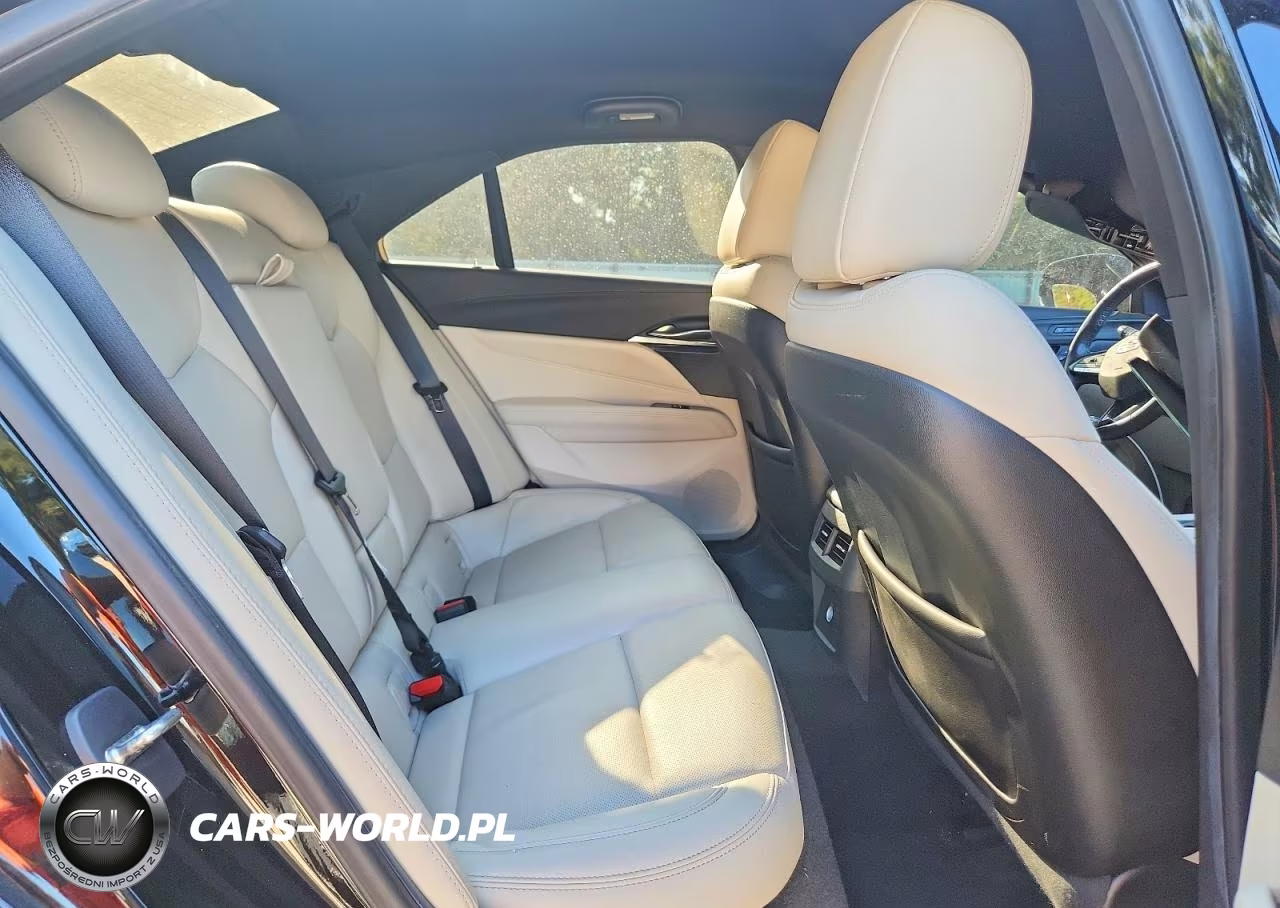 2023 Cadillac Ct4 Premium Luxury VIN:1G6DB5RK4P0106512 - 10