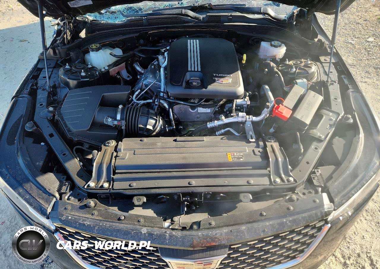 2023 Cadillac Ct4 Premium Luxury VIN:1G6DB5RK4P0106512 - 11