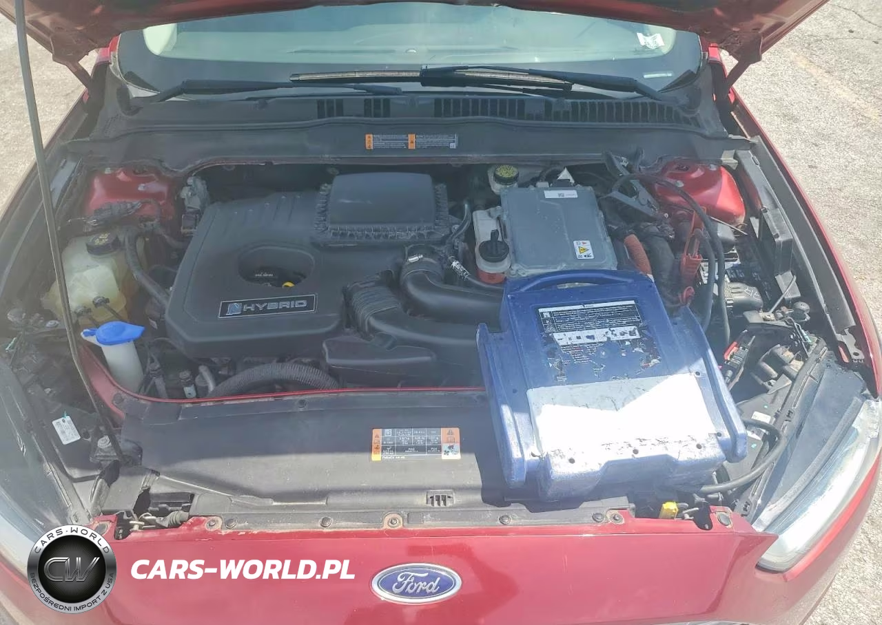 FORD FUSION TIT VIN:3FA6P0RU4ER121557 - 11