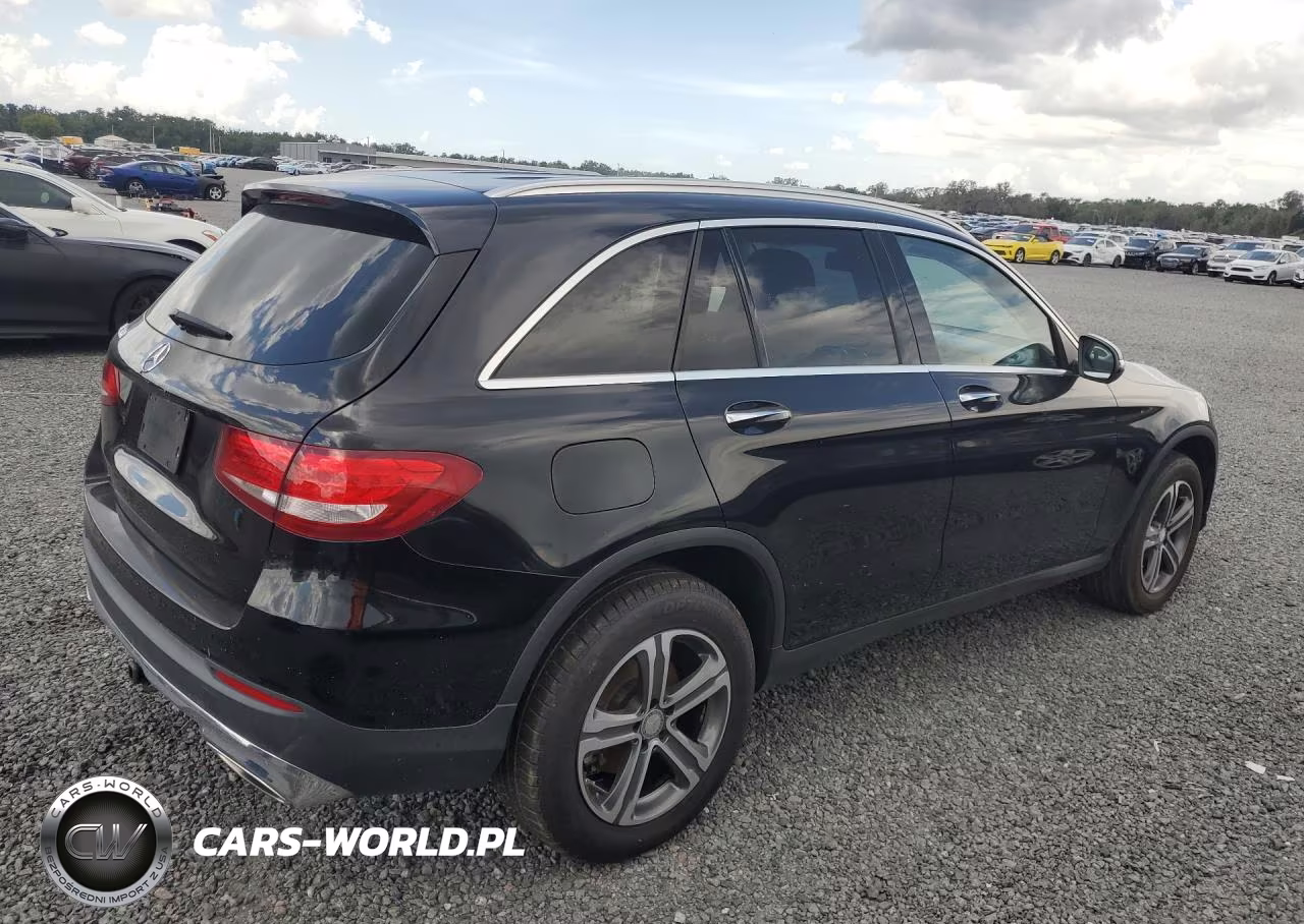 2016 Mercedes-Benz Glc 300 VIN:WDC0G4JB9GF060816 - 3